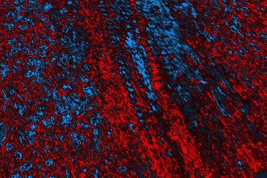 soyut mavi ve kırmızı doku, grunge arkaplan, boşluk duvar kağıdını kopyala