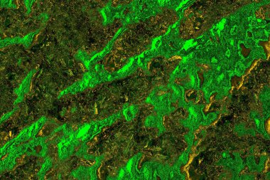 soyut yeşil doku arkaplanı, boşluk duvar kağıdını kopyala