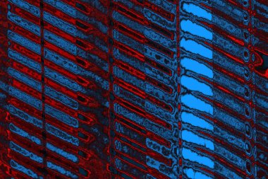 soyut mavi ve kırmızı doku, grunge arkaplan, boşluk duvar kağıdını kopyala