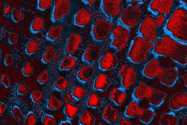 Soyut renk dokusu, grunge arkaplanı, boşluk duvar kağıdını kopyala