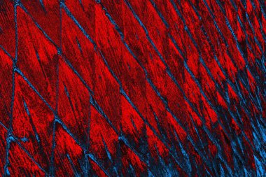 soyut doku, grunge arkaplan, boşluk duvar kağıdını kopyala     