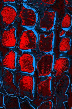 Soyut renk dokusu, grunge arkaplanı, boşluk duvar kağıdını kopyala