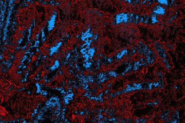 soyut mavi ve kırmızı doku, grunge arkaplan, boşluk duvar kağıdını kopyala