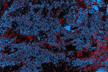 soyut mavi ve kırmızı doku, grunge arkaplan, boşluk duvar kağıdını kopyala