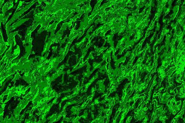 soyut yeşil doku arkaplanı, boşluk duvar kağıdını kopyala