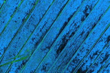 Boşluk duvar kağıdını, grunge arkaplanını, soyut renkli doku arkaplanını kopyala