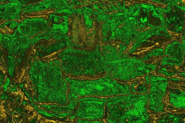 soyut yeşil doku arkaplanı, boşluk duvar kağıdını kopyala