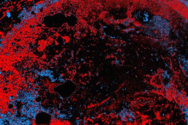 parlak kırmızı doku arkaplanı, boşluk duvar kağıdını kopyala