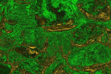 soyut yeşil doku arkaplanı, boşluk duvar kağıdını kopyala