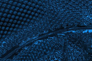 soyut doku, grunge arkaplan, boşluk duvar kağıdını kopyala      