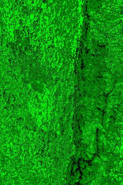 soyut yeşil doku arkaplanı, boşluk duvar kağıdını kopyala