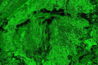 soyut yeşil doku arkaplanı, boşluk duvar kağıdını kopyala