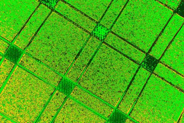 Soyut renk dokusu, grunge arkaplanı, boşluk duvar kağıdını kopyala