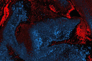 soyut mavi ve kırmızı doku, grunge arkaplan, boşluk duvar kağıdını kopyala