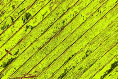 Soyut arkaplan renkli modern desen 