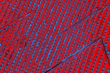 Soyut renk dokusu, grunge arkaplanı, boşluk duvar kağıdını kopyala