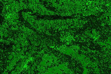 Soyut renk dokusu, grunge arkaplanı, boşluk duvar kağıdını kopyala