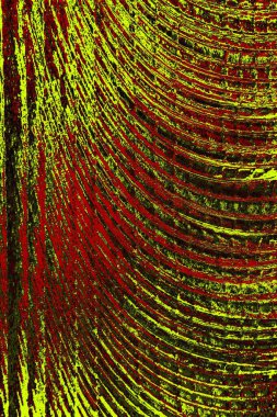  grunge arkaplanı, boşluk duvar kağıdını kopyala, soyut renkli doku arkaplanı