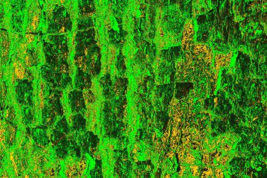 soyut yeşil doku arkaplanı, boşluk duvar kağıdını kopyala