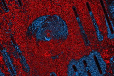 soyut doku, grunge arkaplan, boşluk duvar kağıdını kopyala