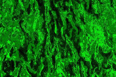 soyut yeşil doku arkaplanı, boşluk duvar kağıdını kopyala