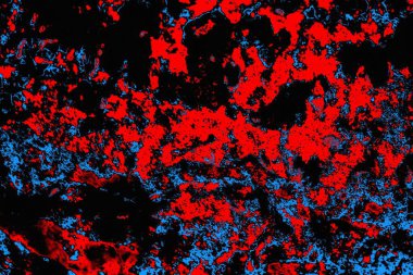 Soyut renk dokusu, grunge arkaplanı, boşluk duvar kağıdını kopyala