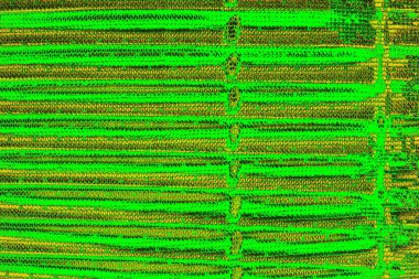 soyut yeşil doku arkaplanı, boşluk duvar kağıdını kopyala
