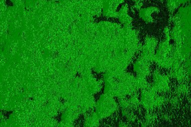 soyut yeşil doku arkaplanı, boşluk duvar kağıdını kopyala