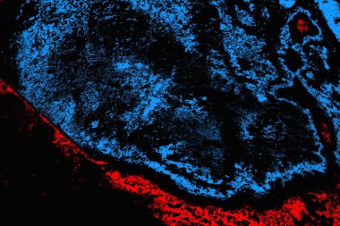 soyut mavi ve kırmızı doku, grunge arkaplan, boşluk duvar kağıdını kopyala