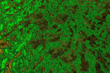 soyut yeşil doku arkaplanı, boşluk duvar kağıdını kopyala