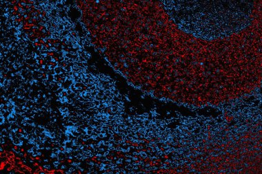 soyut mavi ve kırmızı doku, grunge arkaplan, boşluk duvar kağıdını kopyala