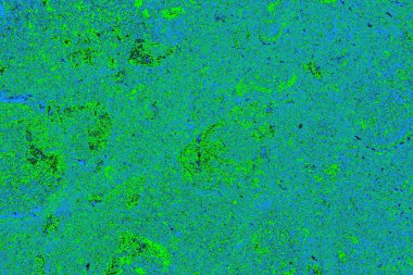 Boşluk duvar kağıdını, grunge arkaplanını, soyut renkli doku arkaplanını kopyala