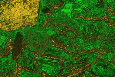 soyut yeşil doku arkaplanı, boşluk duvar kağıdını kopyala