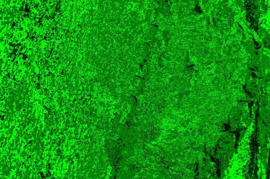 soyut yeşil doku arkaplanı, boşluk duvar kağıdını kopyala