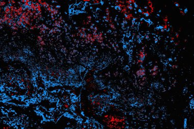 soyut mavi ve kırmızı doku, grunge arkaplan, boşluk duvar kağıdını kopyala