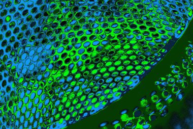 Boşluk duvar kağıdını, grunge arkaplanını, soyut renkli doku arkaplanını kopyala