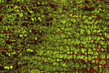 Soyut pejmürde bir doku. Asit grunge arkaplanı, metin veya reklamınız için boşluk resmini kopyala