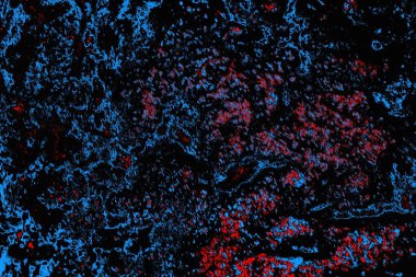 soyut mavi ve kırmızı doku, grunge arkaplan, boşluk duvar kağıdını kopyala