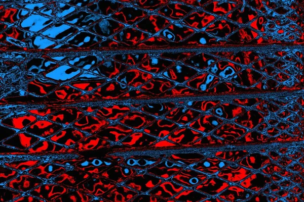 soyut mavi ve kırmızı doku, grunge arkaplan, boşluk duvar kağıdını kopyala