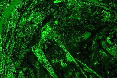 Soyut renk dokusu, grunge arkaplanı, boşluk duvar kağıdını kopyala