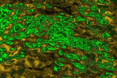 soyut yeşil doku arkaplanı, boşluk duvar kağıdını kopyala