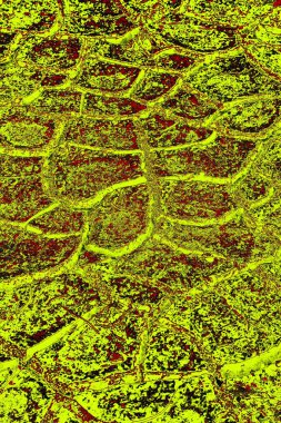 yaratıcı ve tasarım sanatı, kopyalama alanı duvar kağıdı, soyut renkli doku arkaplanı