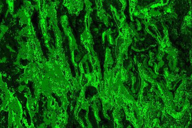 soyut yeşil doku arkaplanı, boşluk duvar kağıdını kopyala