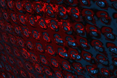 soyut mavi ve kırmızı doku, grunge arkaplan, boşluk duvar kağıdını kopyala