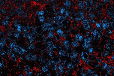 soyut mavi ve kırmızı doku, grunge arkaplan, boşluk duvar kağıdını kopyala