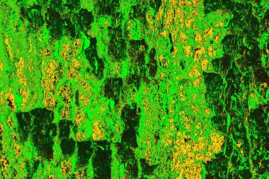 soyut yeşil doku arkaplanı, boşluk duvar kağıdını kopyala