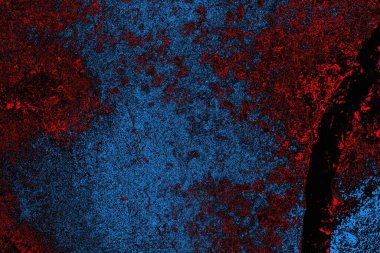 soyut mavi ve kırmızı doku, grunge arkaplan, boşluk duvar kağıdını kopyala