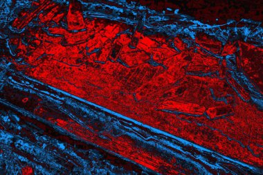 Soyut renk dokusu, grunge arkaplanı, boşluk duvar kağıdını kopyala