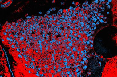 Soyut renk dokusu, grunge arkaplanı, boşluk duvar kağıdını kopyala