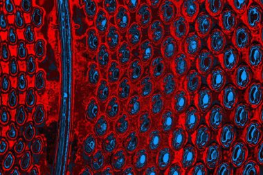 soyut mavi ve kırmızı doku, grunge arkaplan, boşluk duvar kağıdını kopyala